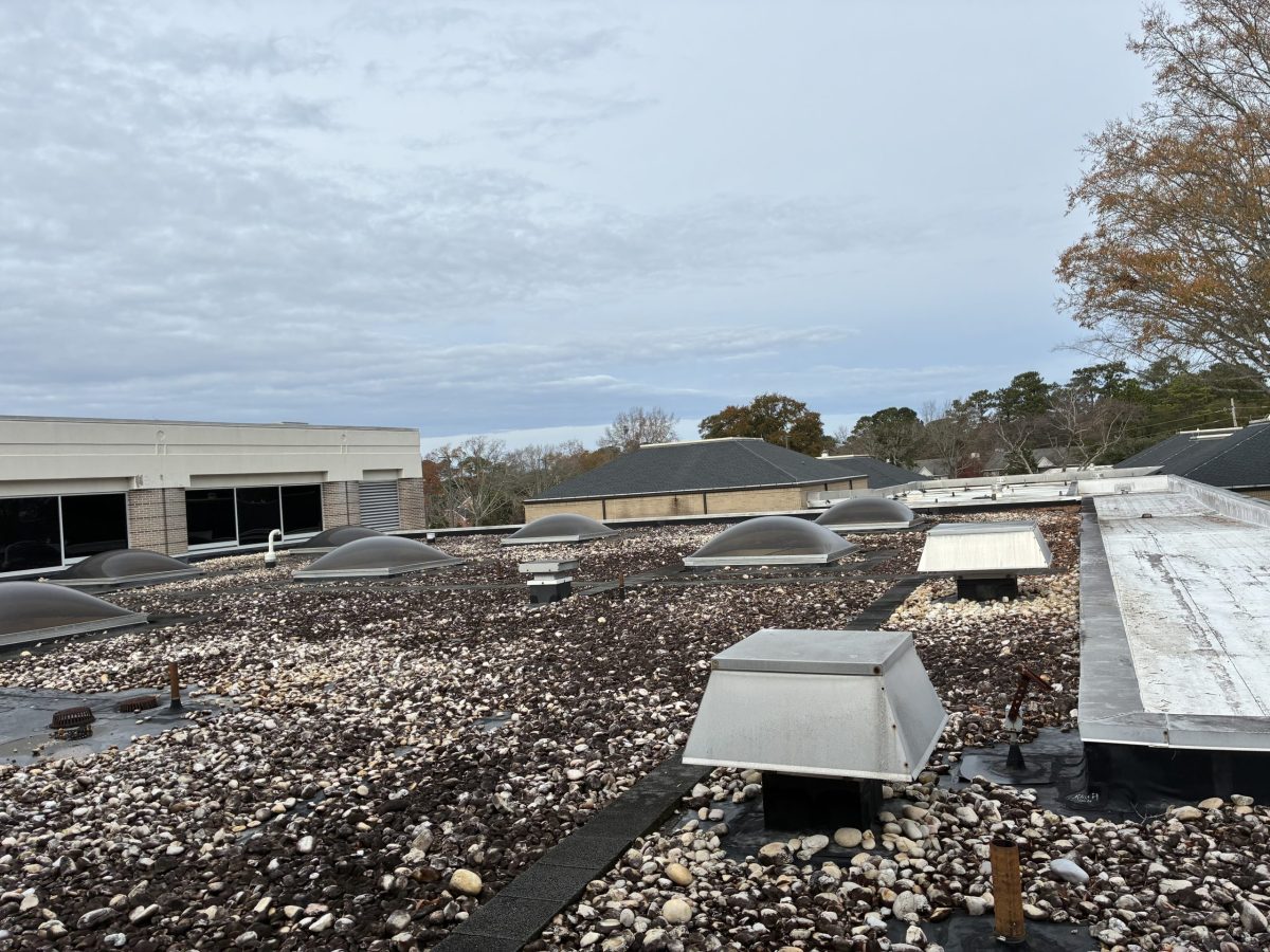 education specialty metal roof replacement