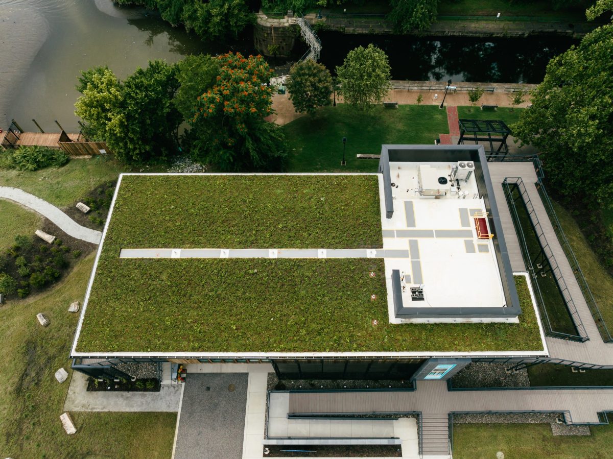 green roof replacement