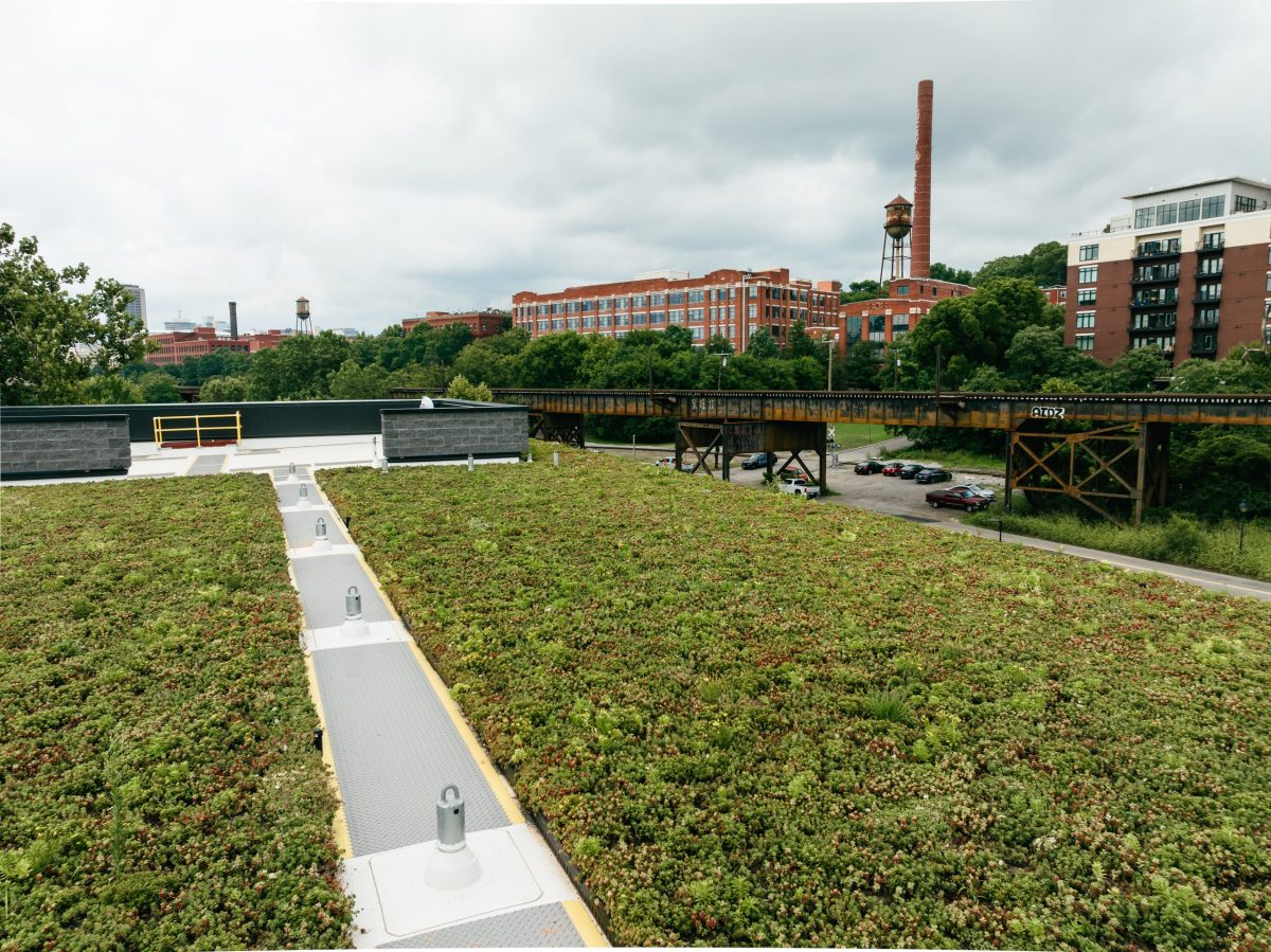 green roof replacement