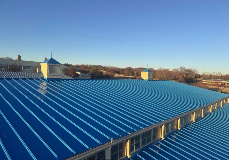 Roof coatings
